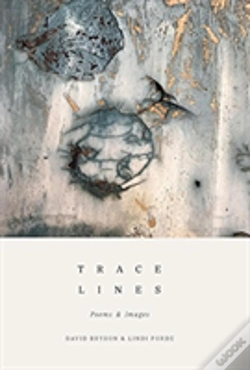 Capa do artigo Trace Lines