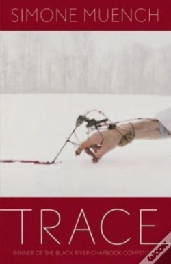 Capa do artigo Trace