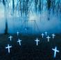 Traces - CD - Preview