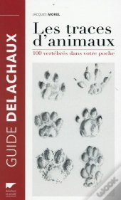 Traces D'Animaux ; 100 Vertébrés Dans Votre Poche