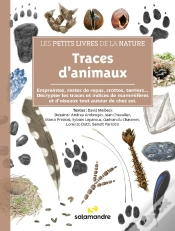 Capa do artigo Traces D