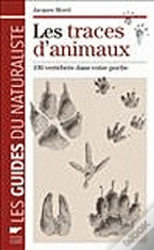 Traces D'Animaux