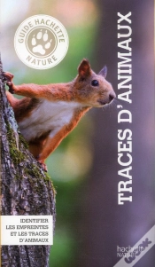 Capa do artigo Traces D