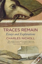Capa do artigo Traces Remain
