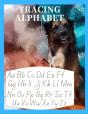 Tracing Alphabet - Preview