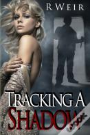 Tracking A Shadow