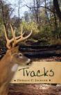 Tracks - Preview