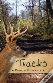 Capa do artigo Tracks