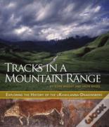 Tracks In A Mountain Range