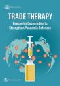 Trade Therapy - Preview