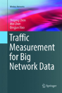Traffic Measurement For Big Network Data - Preview