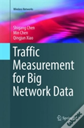 Traffic Measurement For Big Network Data