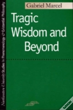 Capa do artigo Tragic Wisdom And Beyond