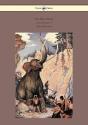Trail Book - With Illustrations By Milo Winter - Preview