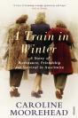 Train In Winter - Preview