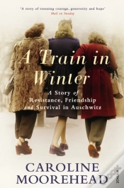 Capa do artigo Train In Winter