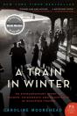 Train In Winter - Preview