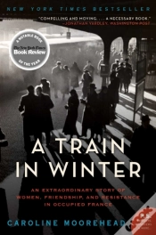 Capa do artigo Train In Winter