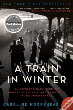Capa do artigo Train In Winter