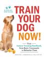 Train Your Dog Now! - Preview