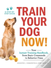 Train Your Dog Now!