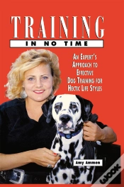 Capa do artigo Training In No Time