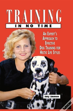 Capa do artigo Training In No Time