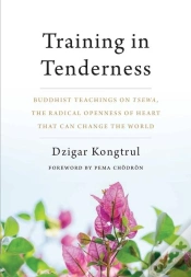 Capa do artigo Training In Tenderness