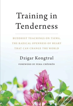 Capa do artigo Training In Tenderness