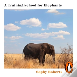 Capa do artigo Training School For Elephants