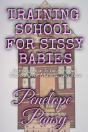 Training School For Sissy Babies - Preview