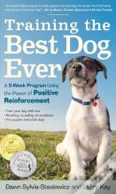 Training The Best Dog Ever