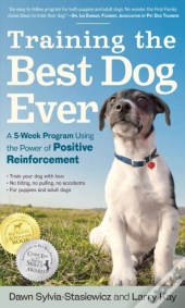Training The Best Dog Ever