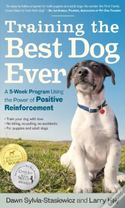 Capa do artigo Training The Best Dog Ever