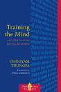 Training The Mind And Cultivating Loving-Kindness - Preview