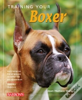 Training Your Boxer