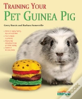 Training Your Guinea Pig