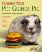 Training Your Guinea Pig
