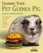 Training Your Guinea Pig - Preview