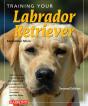 Training Your Labrador Retriever - Preview