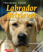 Capa do artigo Training Your Labrador Retriever