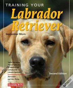Capa do artigo Training Your Labrador Retriever