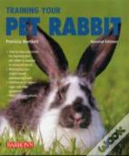 Training Your Pet Rabbit