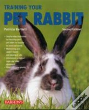 Capa do artigo Training Your Pet Rabbit