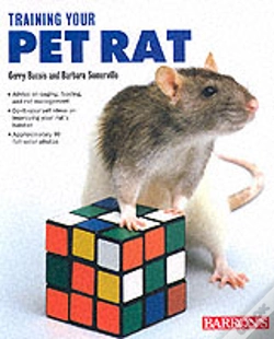 Capa do artigo Training Your Pet Rat