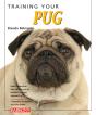 Training Your Pug - Preview