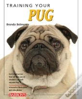 Training Your Pug