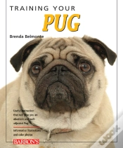 Capa do artigo Training Your Pug