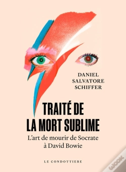 Capa do artigo Traité De La Mort Sublime : L'Art De Mourir De Socrate À David Bowie