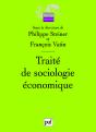 Traite De Sociologie Économique - Preview